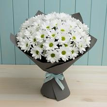 Букет цветов из:  Хризантемы в Хелюле